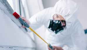 Best Residential Pest Control  in Indio, CA